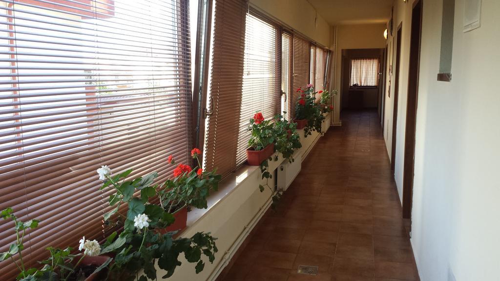 Hostel Nova Route Năvodari Esterno foto